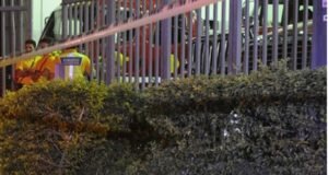 Hombre muere frente a la estación de bomberos en Pavas