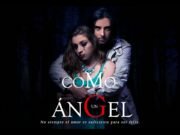 Película tica “Como un ángel ” se estrena este Jueves