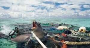 5 de Junio Día Mundial Del Medio Ambiente