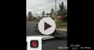 Hombre viajaba en el techo de un carro en Pérez Zeledón.
